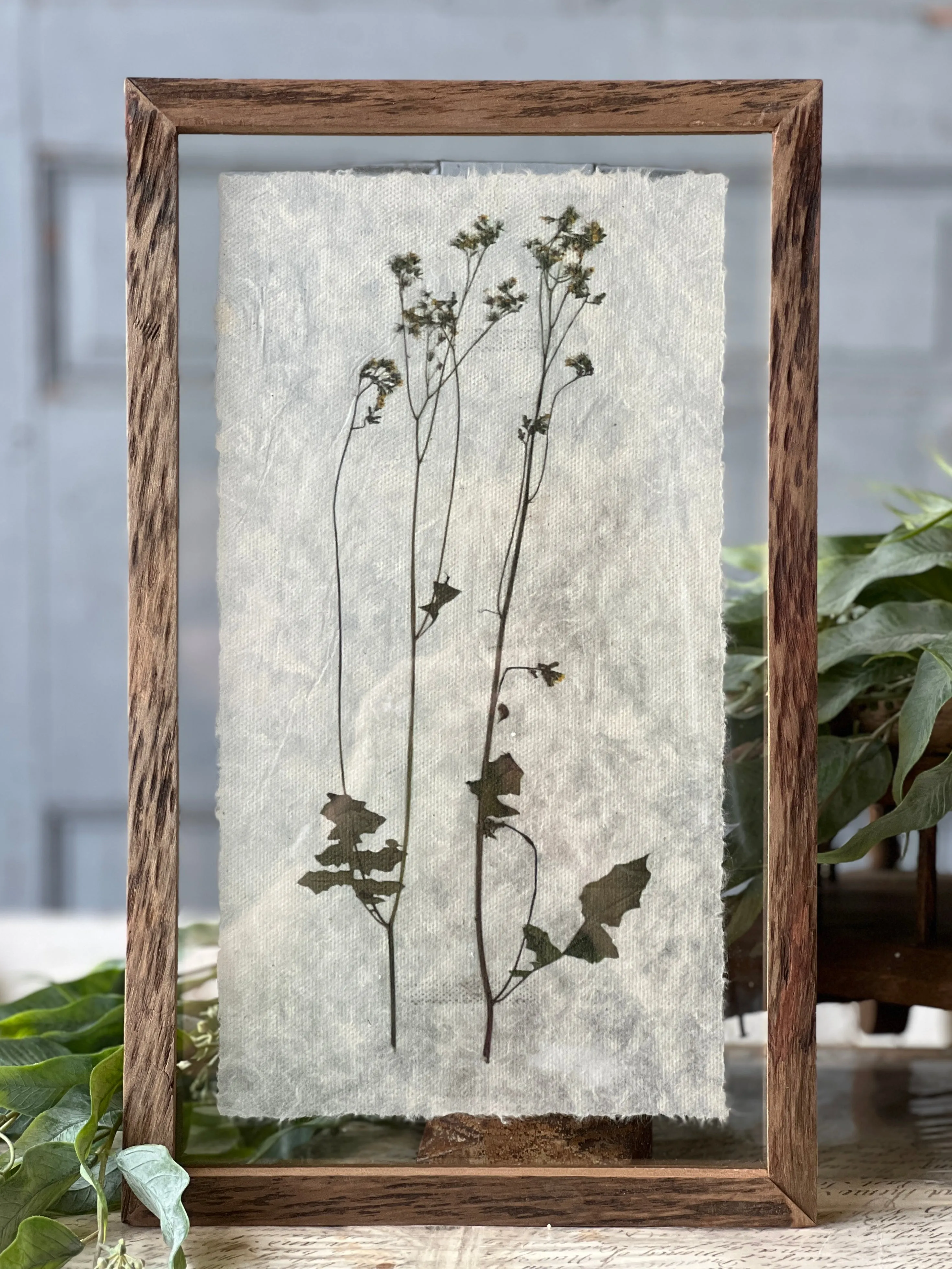 Floristic Frames | No. 2 | NOT CURRENTLY IN STOCK-New For Spring 2025!