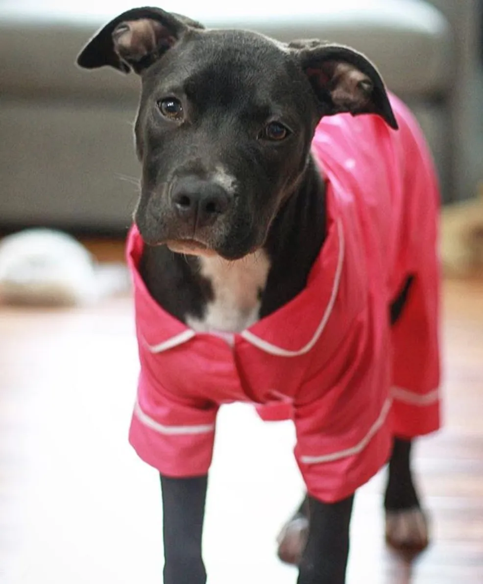 Pajamas - Hot Pink Poplin
