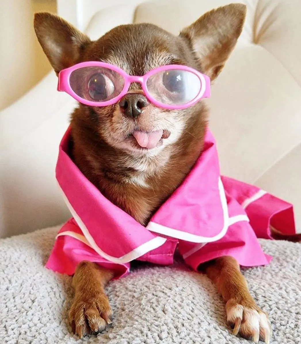 Pajamas - Hot Pink Poplin