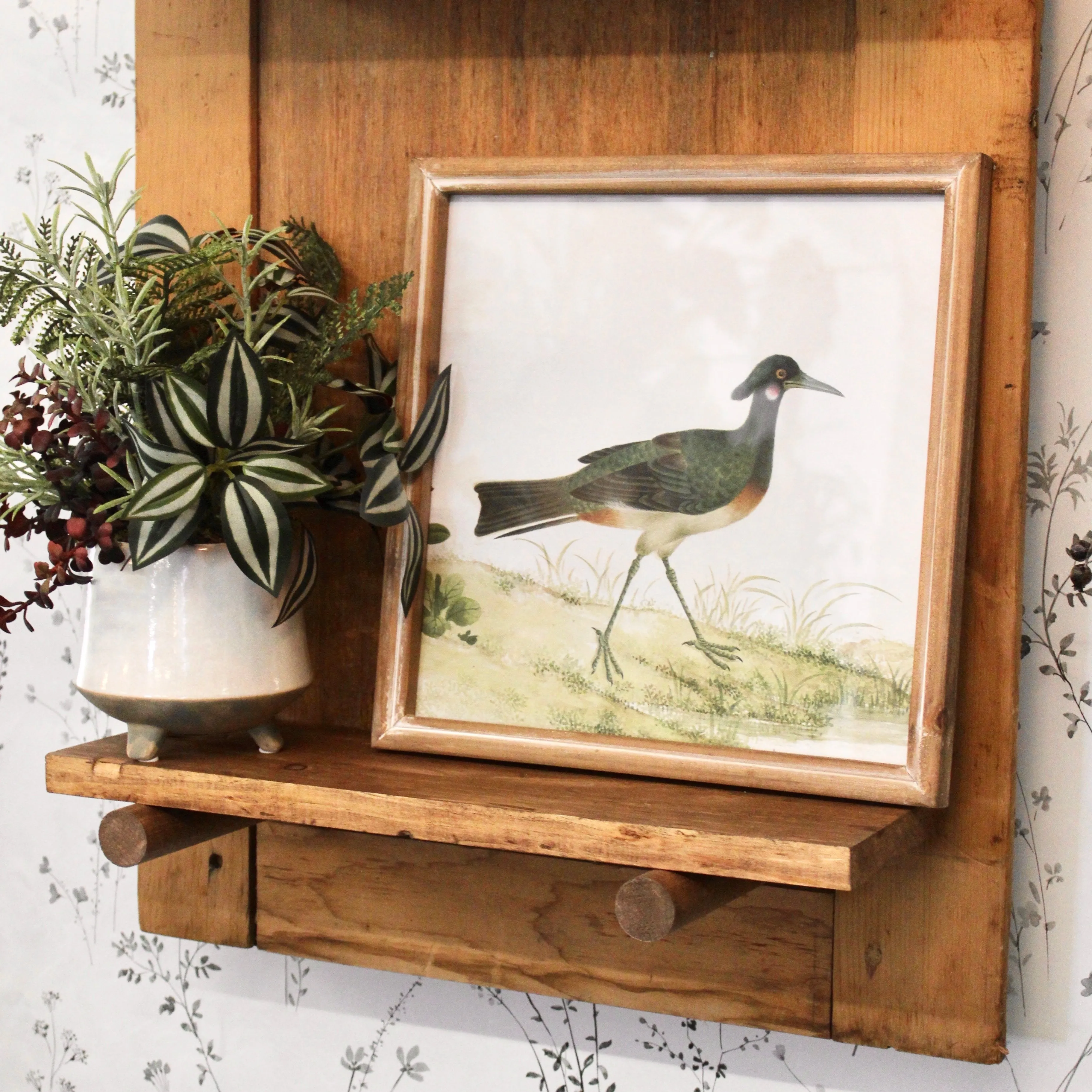 Square Framed Bird Prints