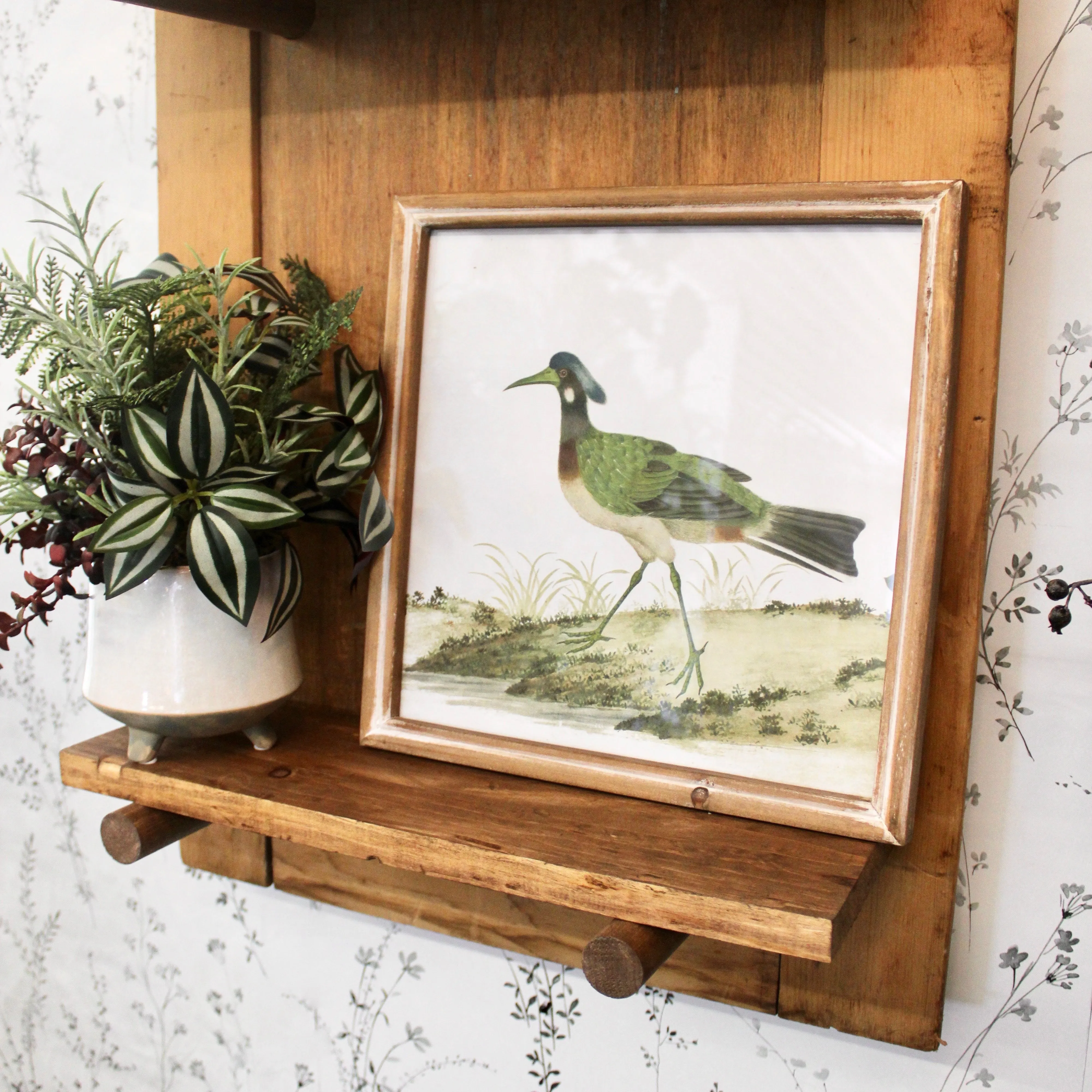 Square Framed Bird Prints