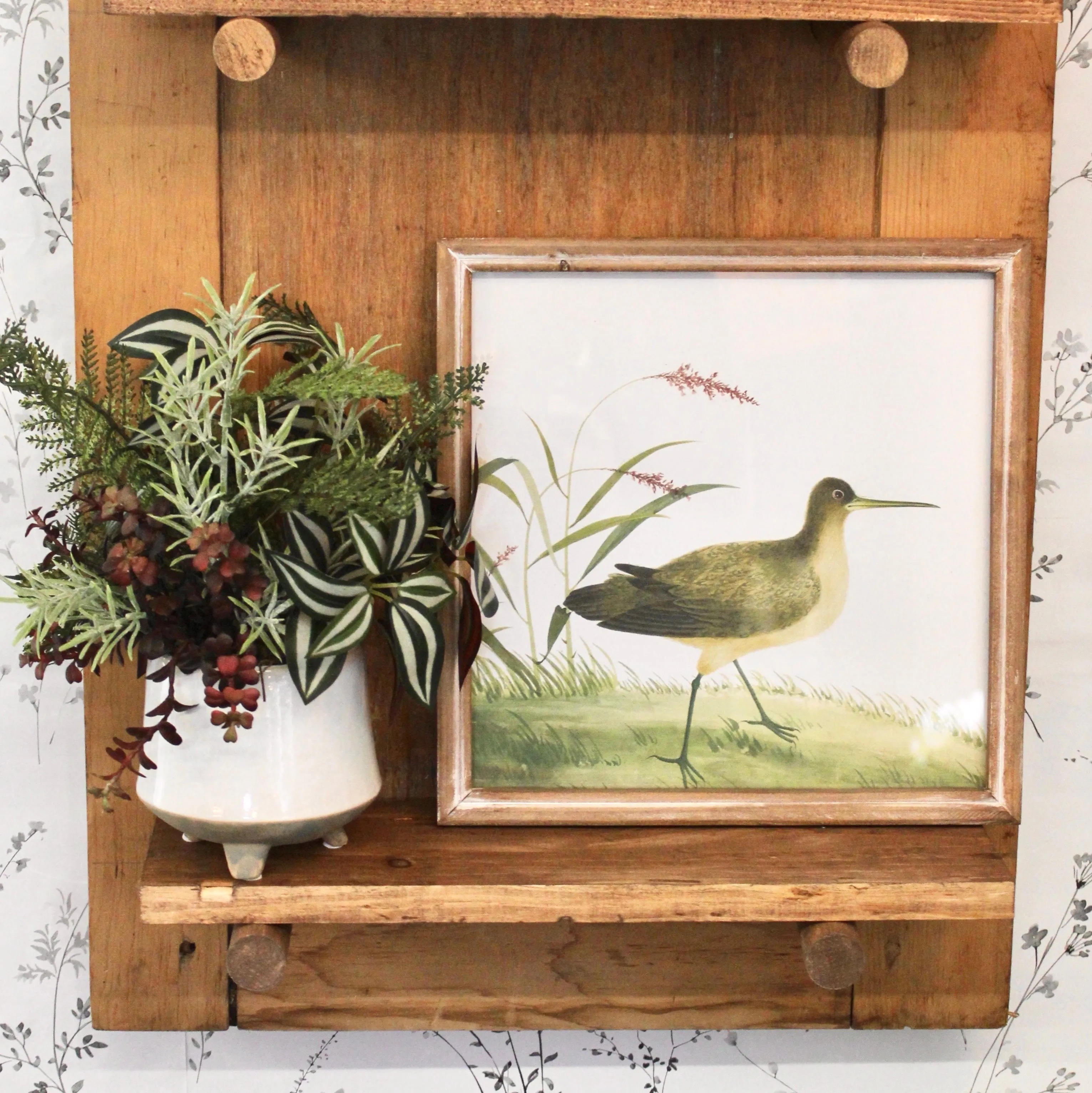 Square Framed Bird Prints