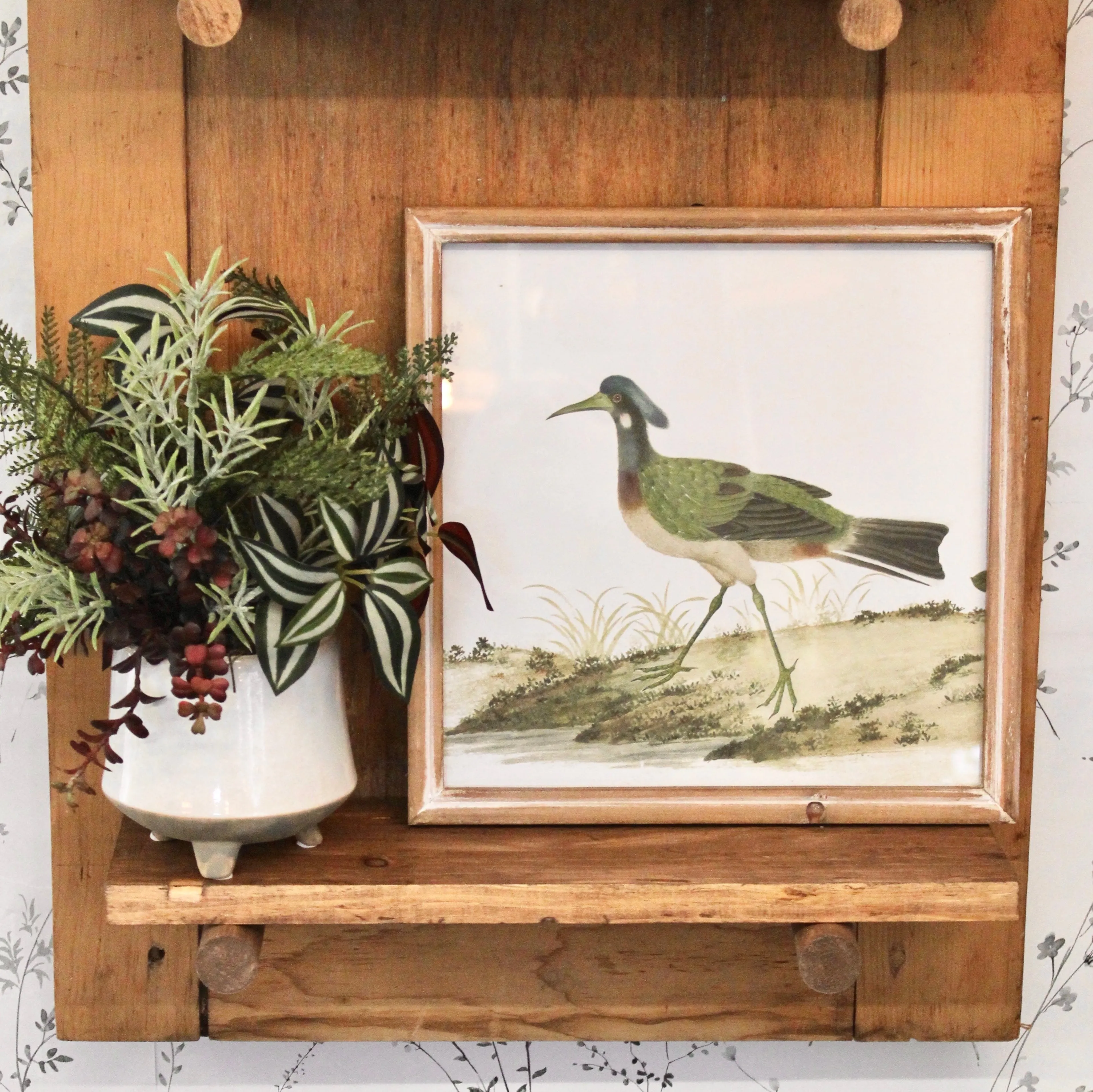 Square Framed Bird Prints