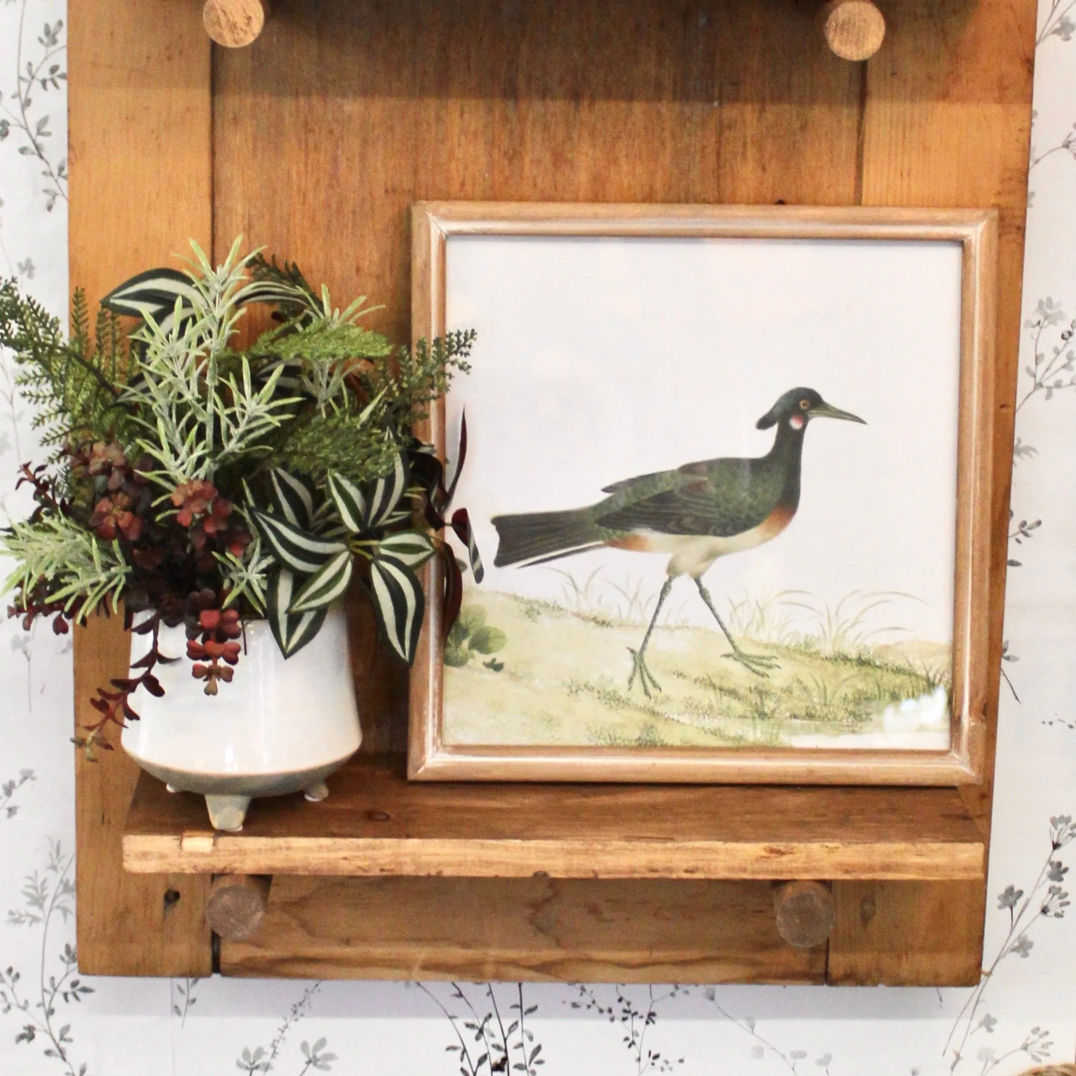 Square Framed Bird Prints