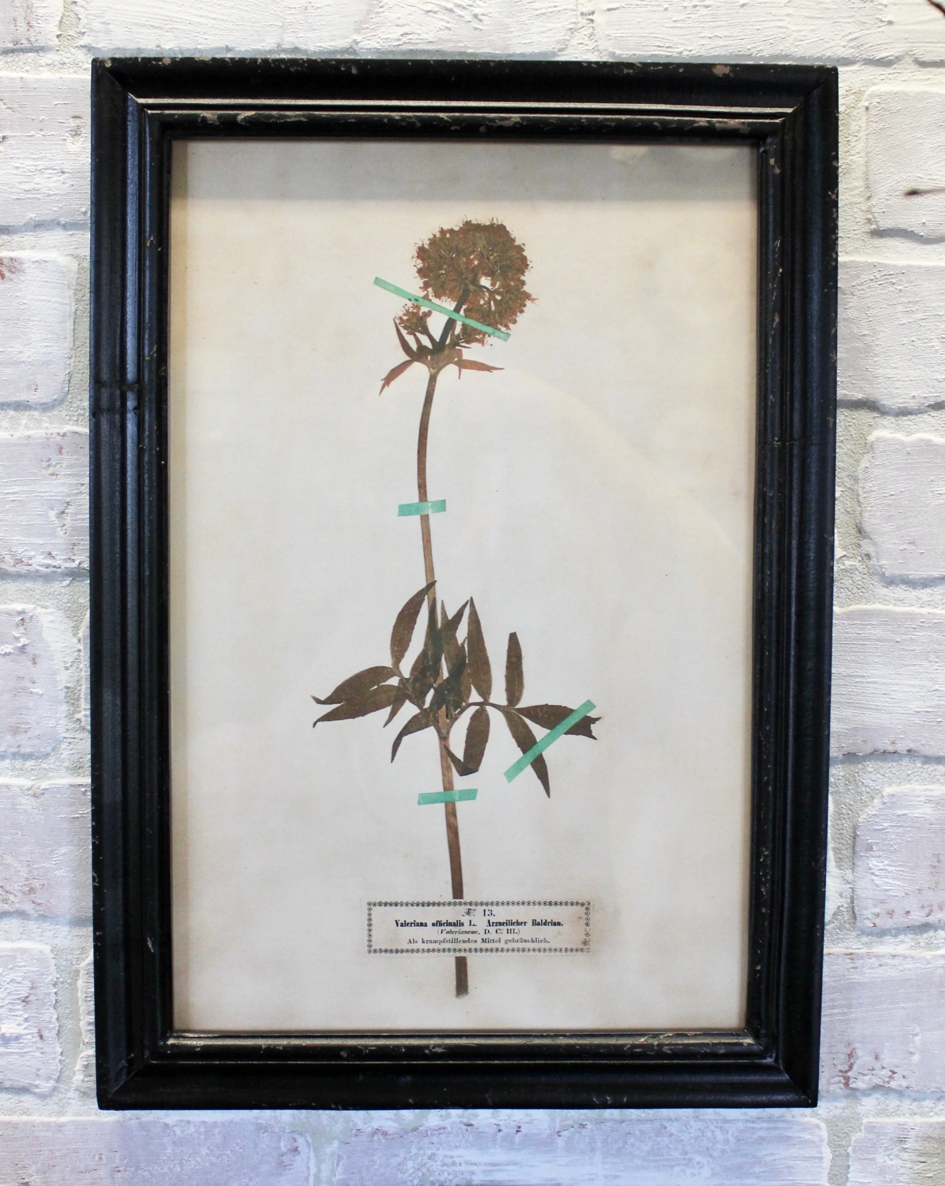 Vintage Inspired Floral Art Prints