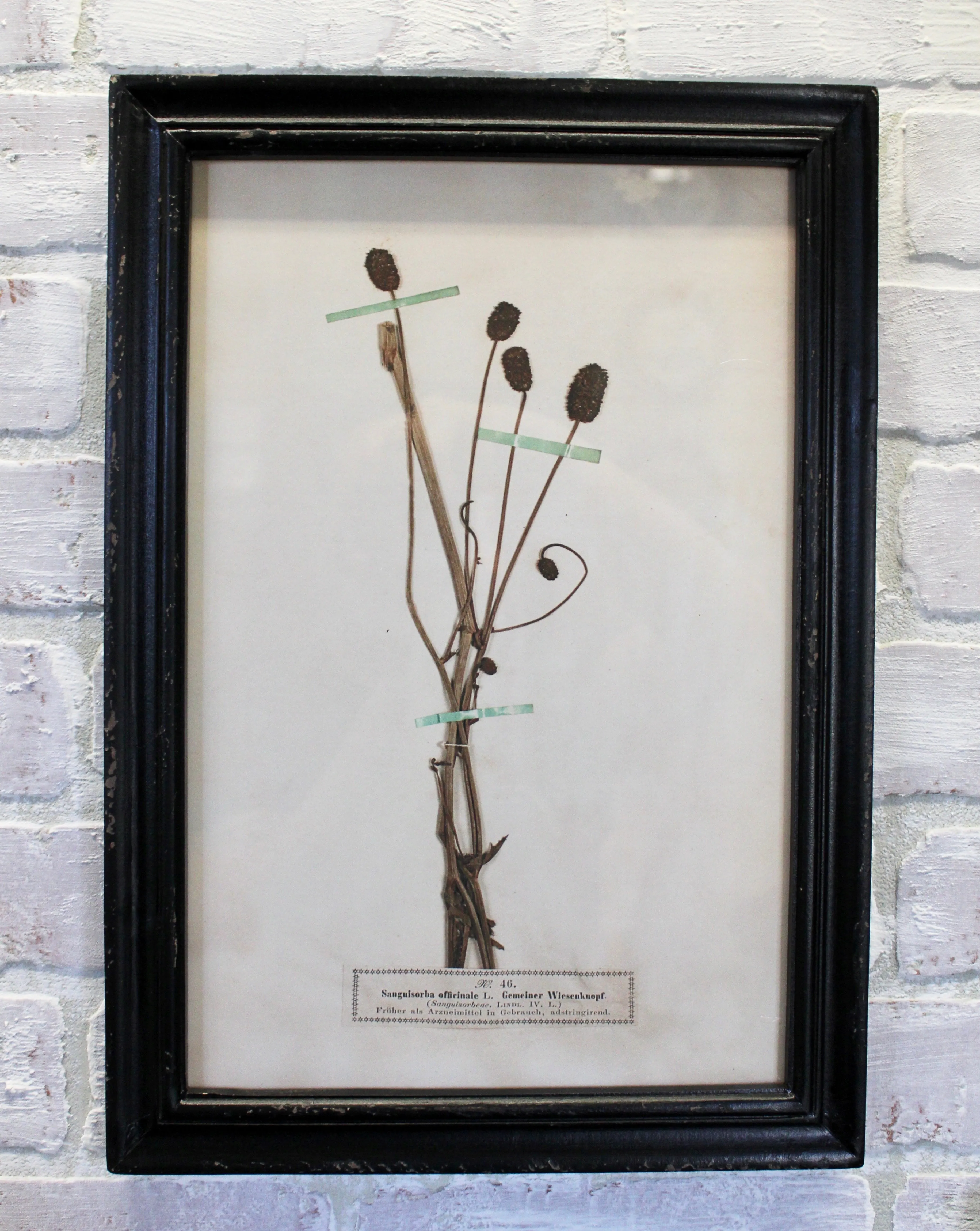 Vintage Inspired Floral Art Prints