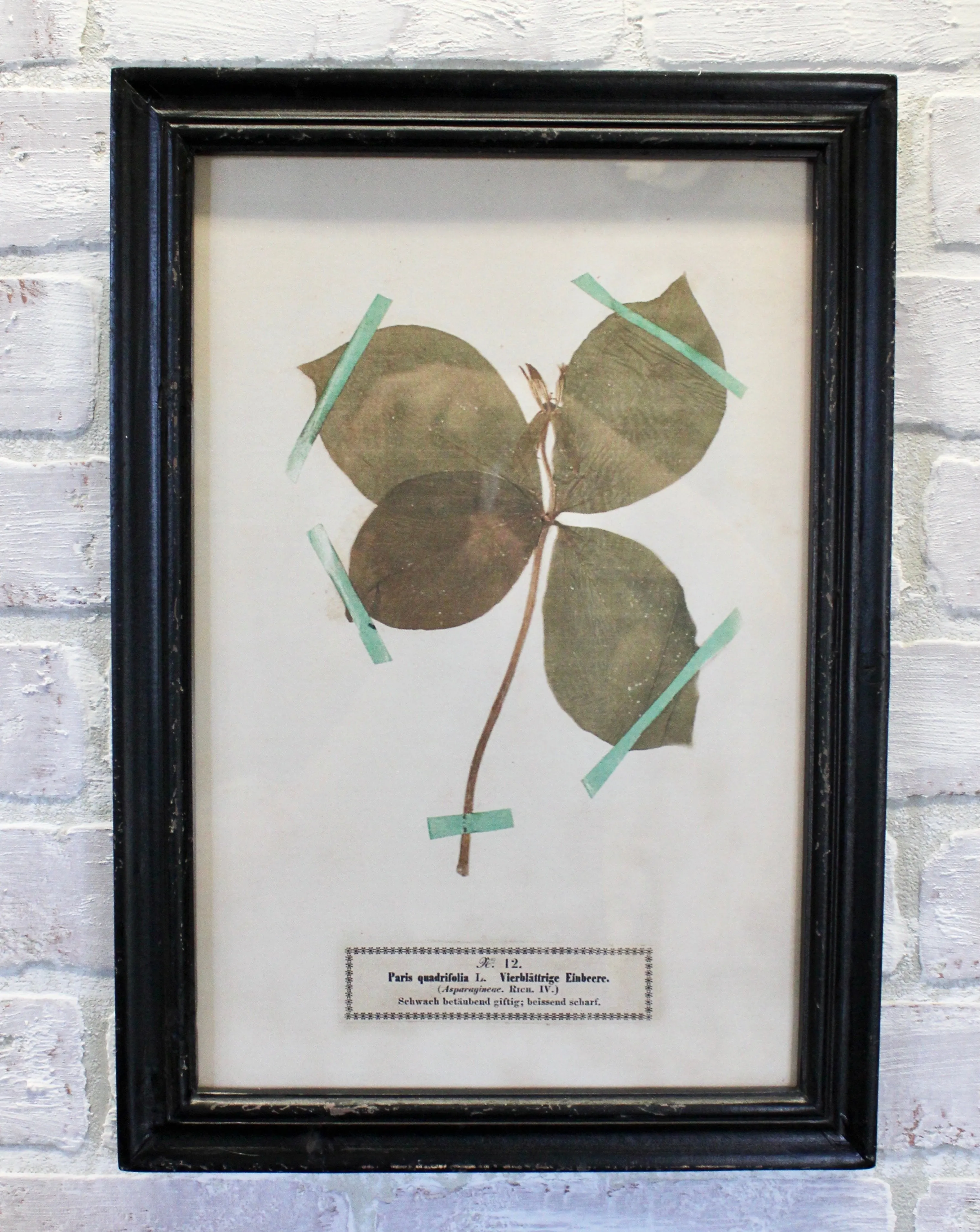 Vintage Inspired Floral Art Prints