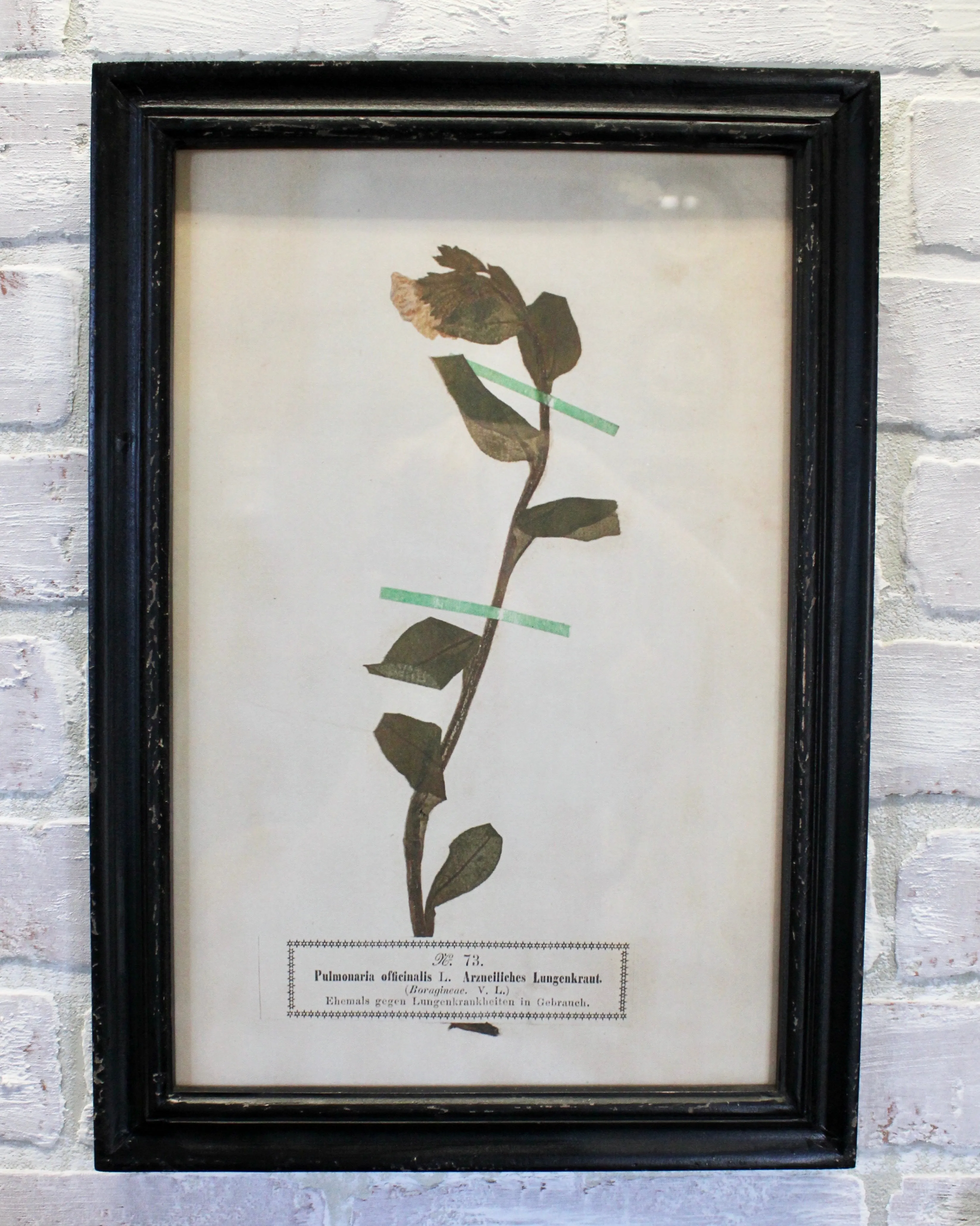 Vintage Inspired Floral Art Prints