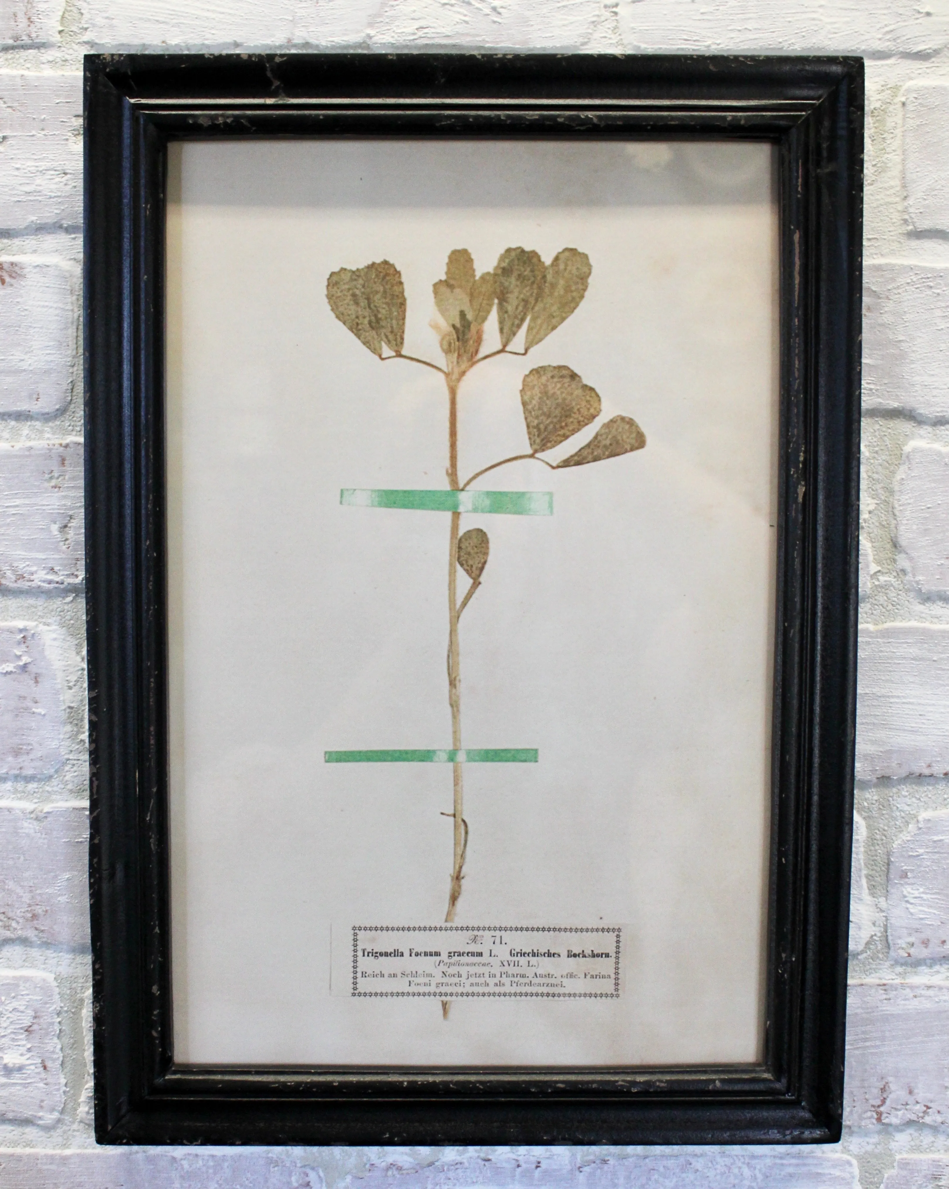 Vintage Inspired Floral Art Prints