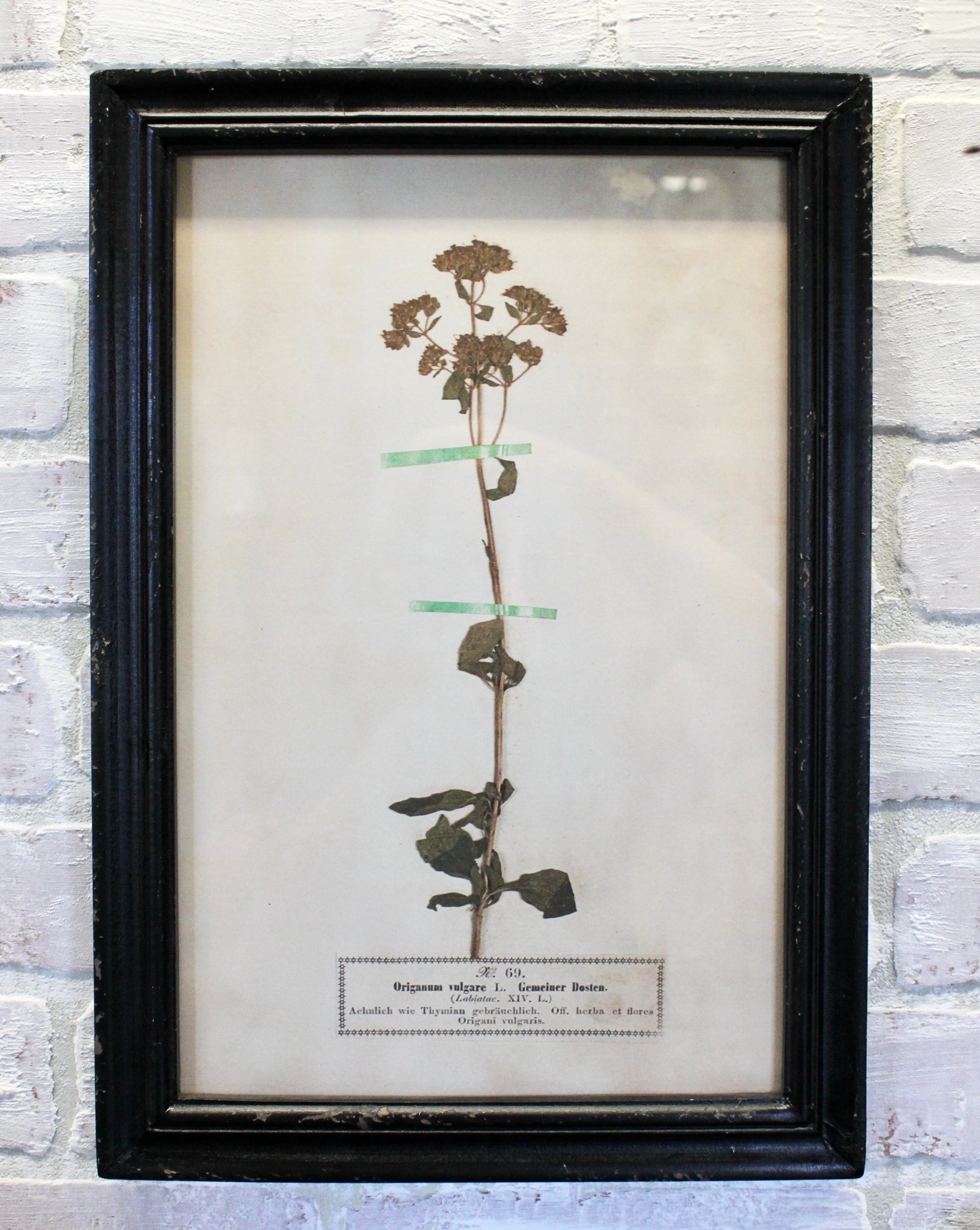 Vintage Inspired Floral Art Prints