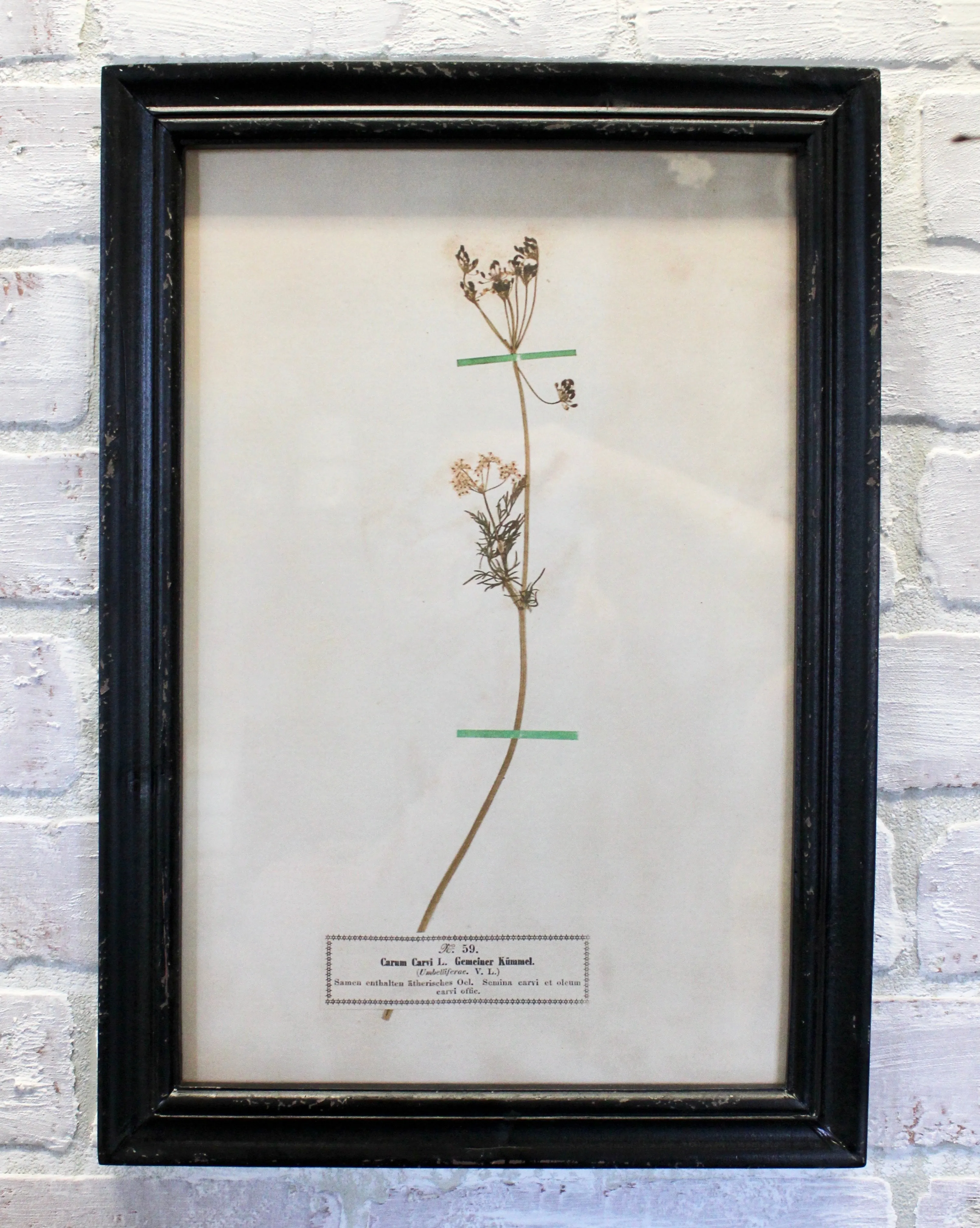 Vintage Inspired Floral Art Prints