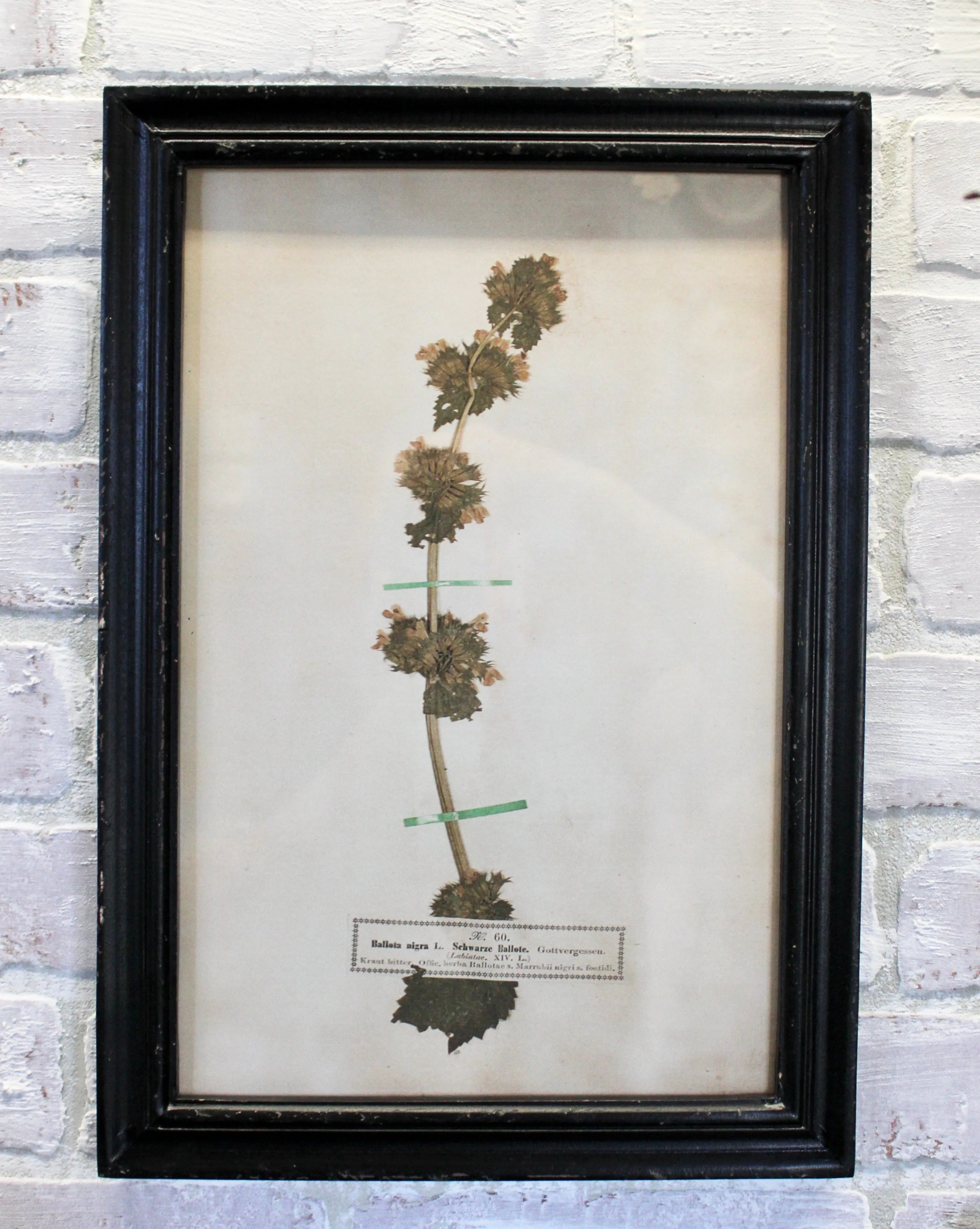 Vintage Inspired Floral Art Prints