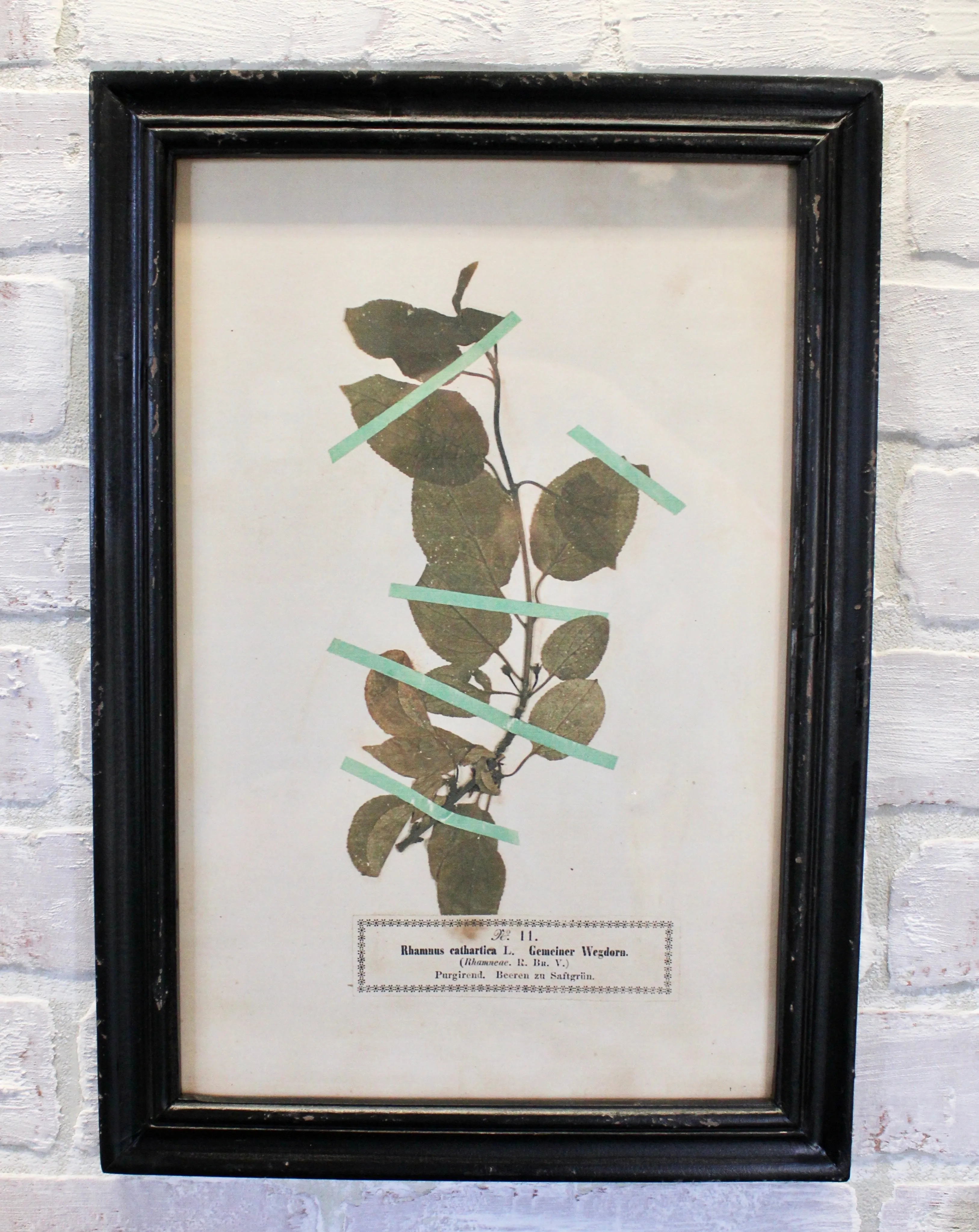 Vintage Inspired Floral Art Prints