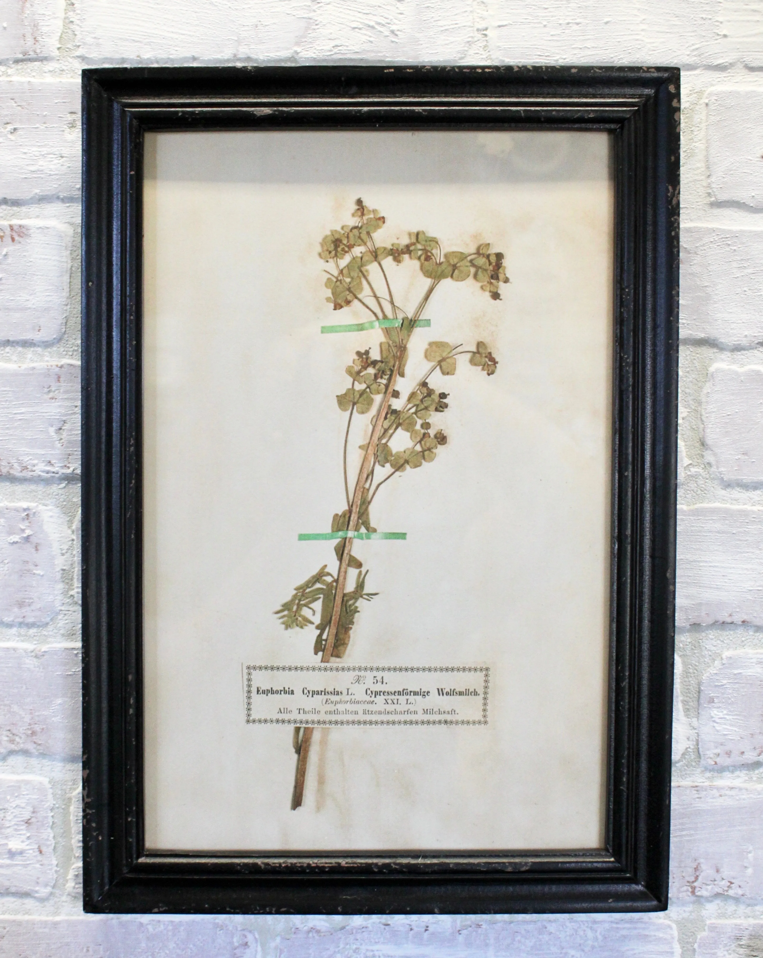 Vintage Inspired Floral Art Prints